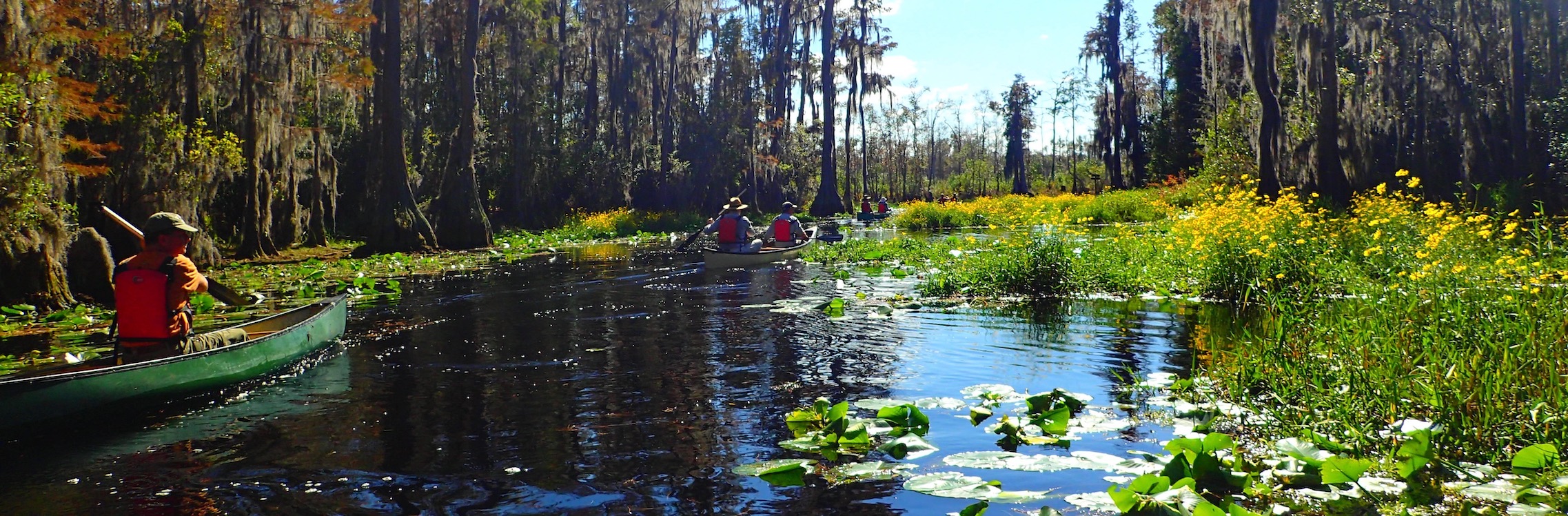 georgia canoe trips