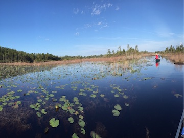 overnight kayak trips georgia