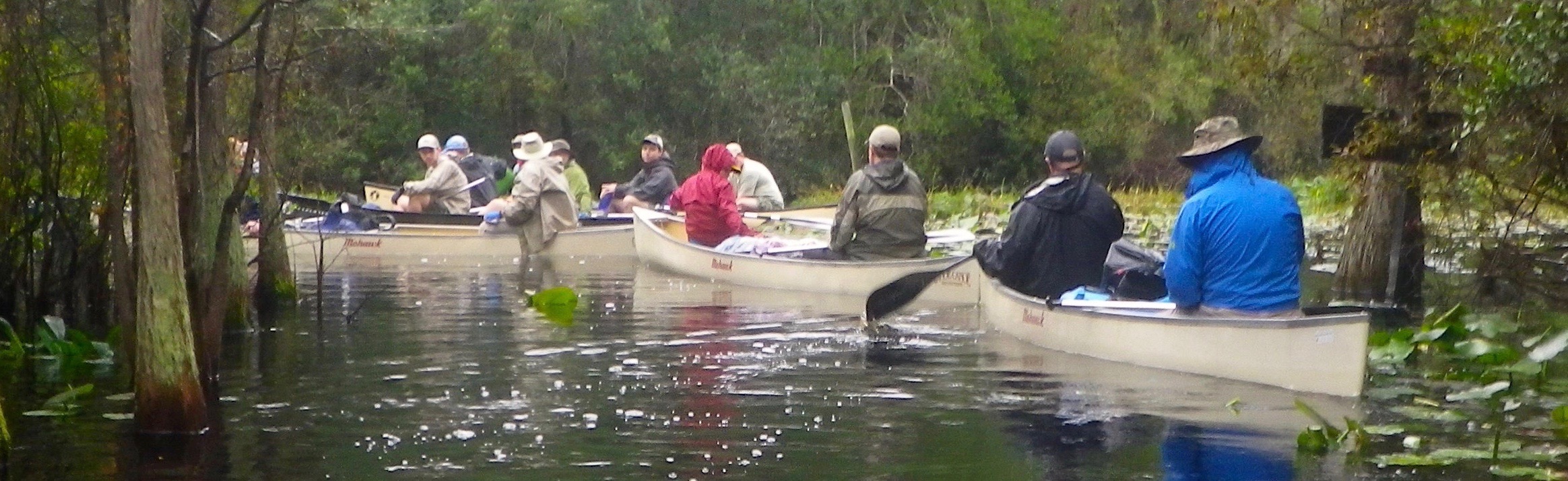 overnight kayak trips georgia